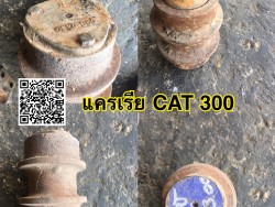 แคเรียเก่า CAT 300