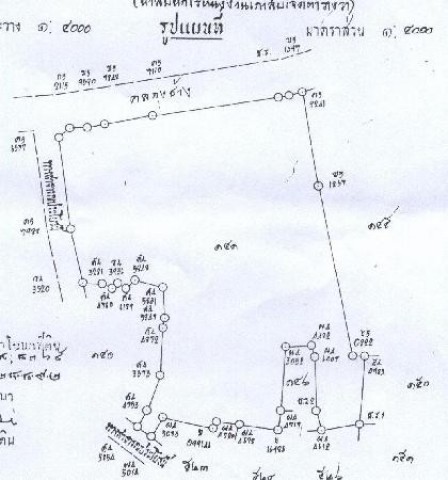 ขายที่ดินบ้านคอกวัว (บ้านพระ) โคราช